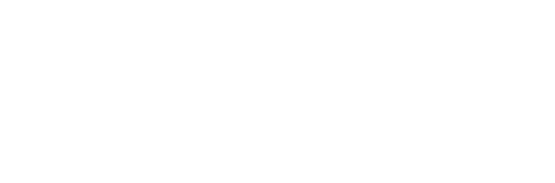 Hetmanska_logo